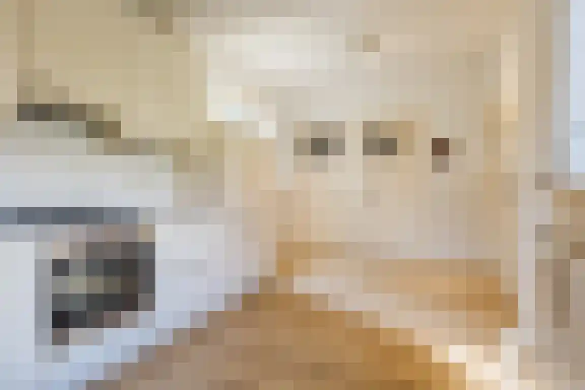 Nieuwe Molenweg 19 Halsteren thumbnail 7