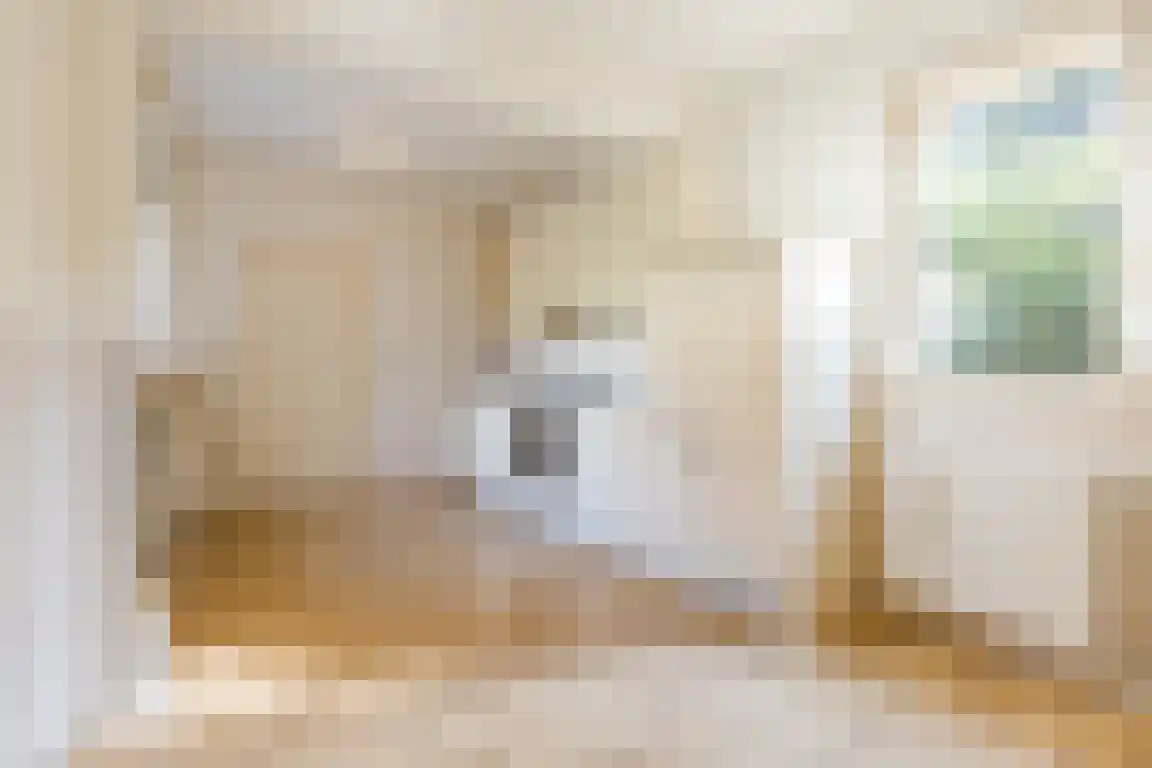 Nieuwe Molenweg 19 Halsteren thumbnail 8
