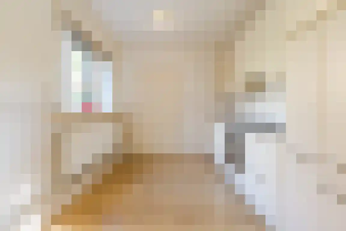 Nieuwe Molenweg 19 Halsteren thumbnail 9