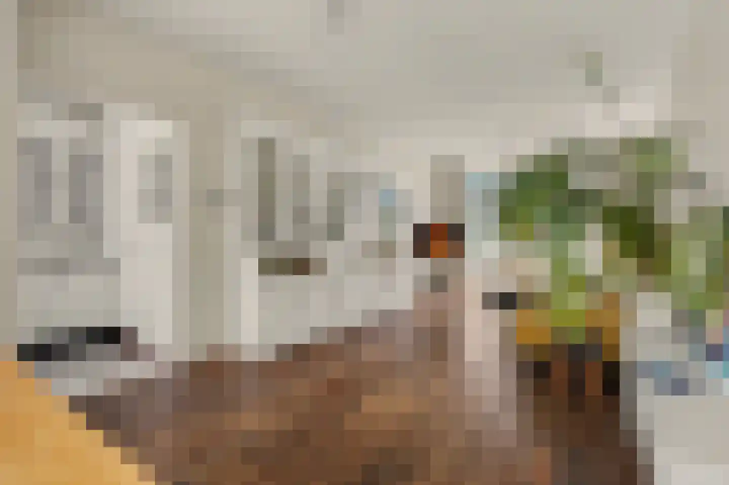 Nieuwe Mollenhutseweg 15 Nijmegen thumbnail 11