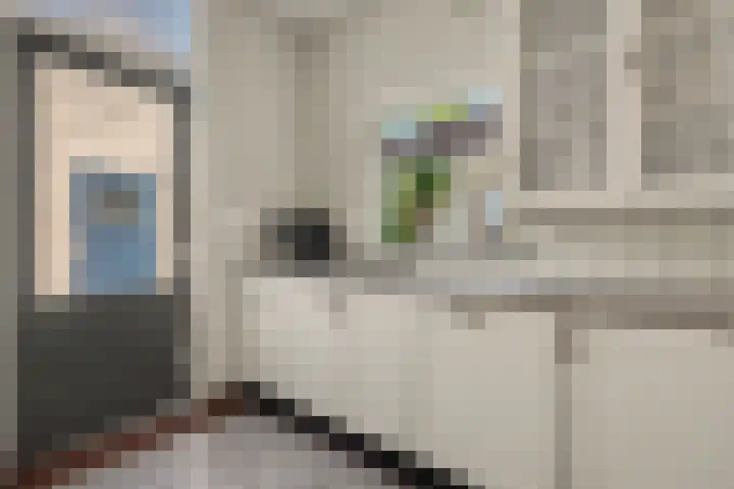 Nieuwe Mollenhutseweg 15 Nijmegen thumbnail 13