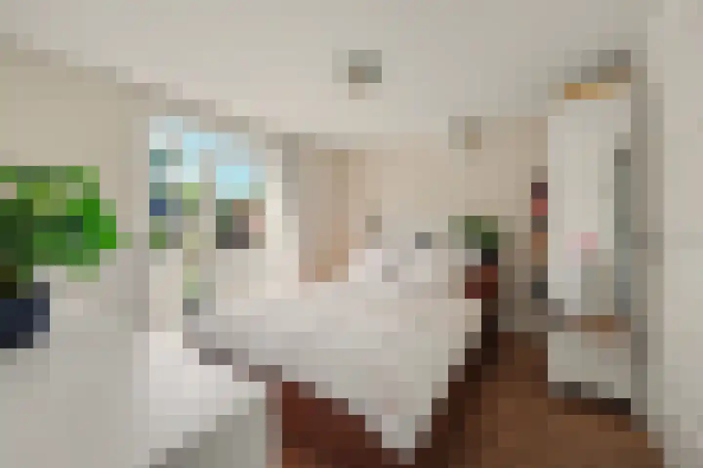 Nieuwe Mollenhutseweg 15 Nijmegen thumbnail 20