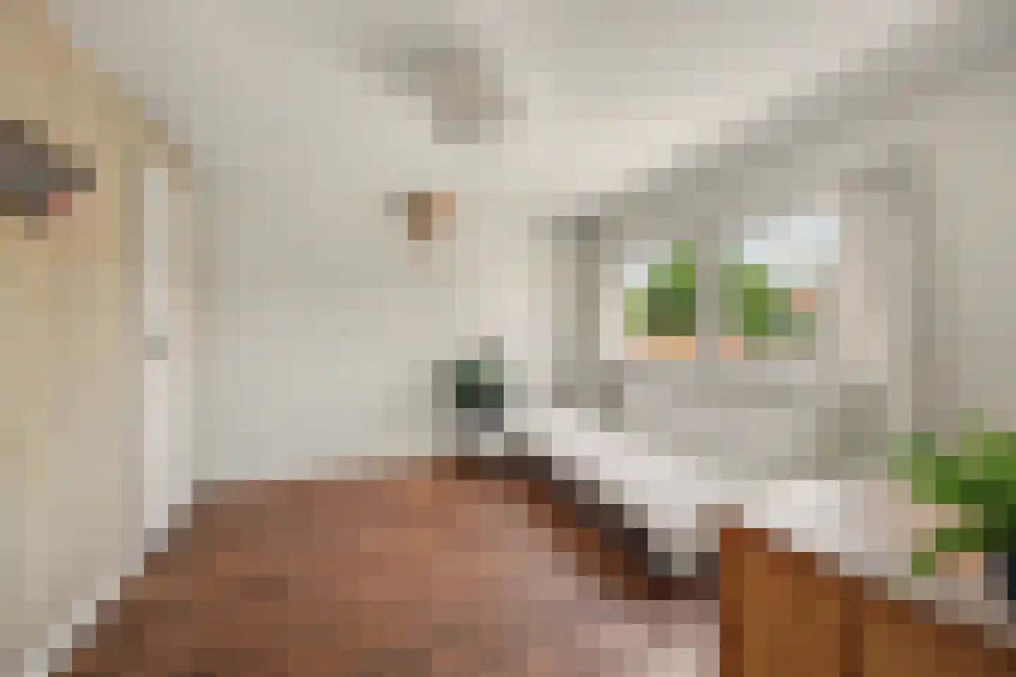 Nieuwe Mollenhutseweg 15 Nijmegen thumbnail 25