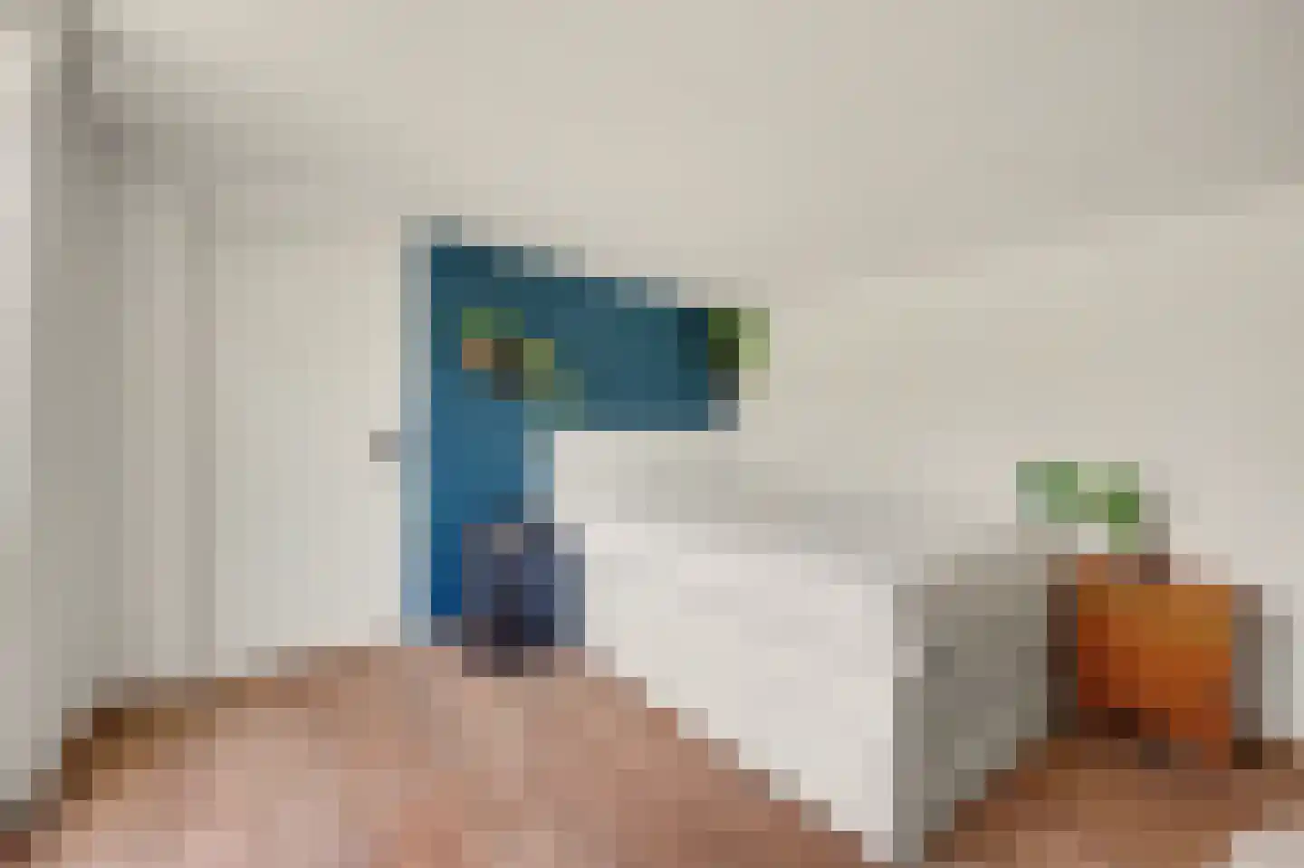 Nieuwe Mollenhutseweg 15 Nijmegen thumbnail 42