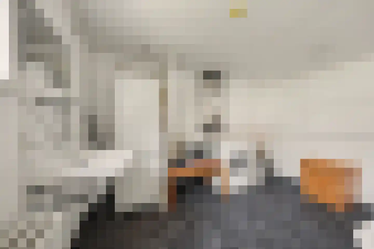 Nieuwe Mollenhutseweg 15 Nijmegen thumbnail 46