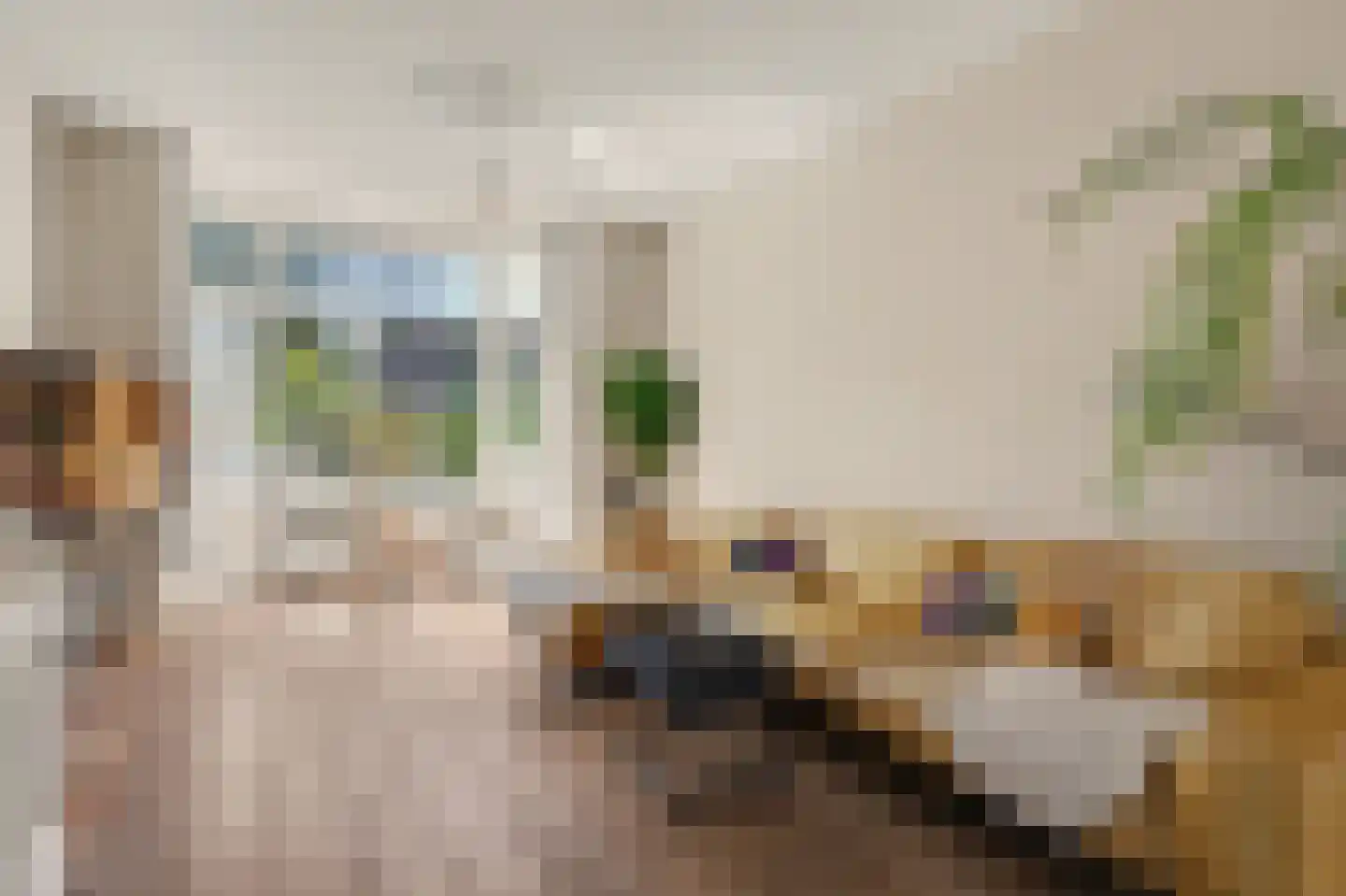 Nieuwe Mollenhutseweg 15 Nijmegen thumbnail 5