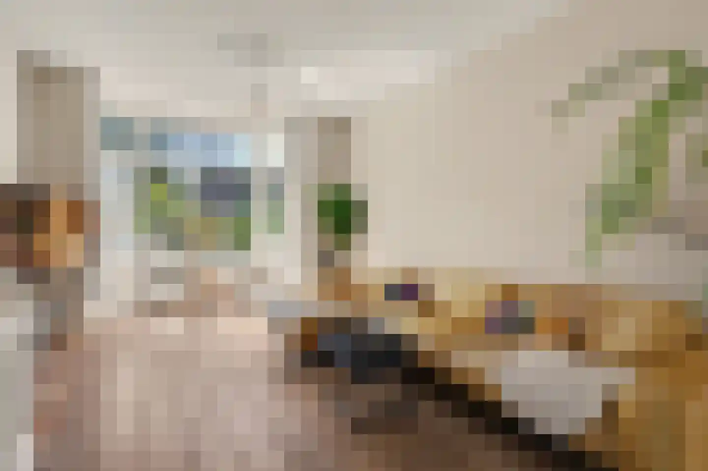 Nieuwe Mollenhutseweg 15 Nijmegen thumbnail 5