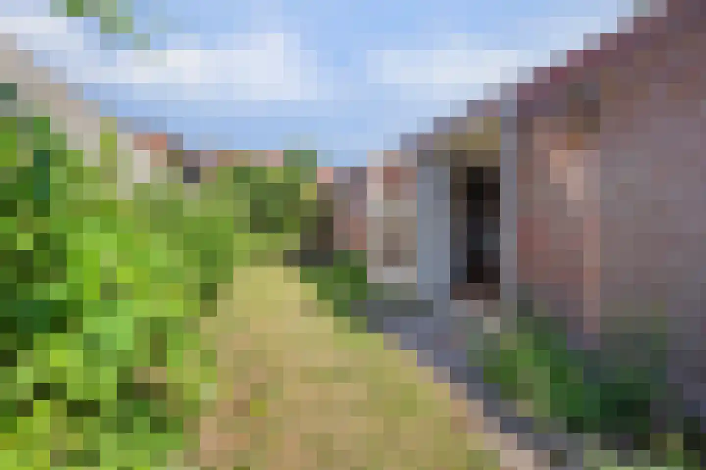 Nieuwe Mollenhutseweg 15 Nijmegen thumbnail 52