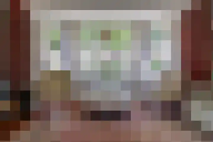 Nieuwe Mollenhutseweg 26 Nijmegen thumbnail 15