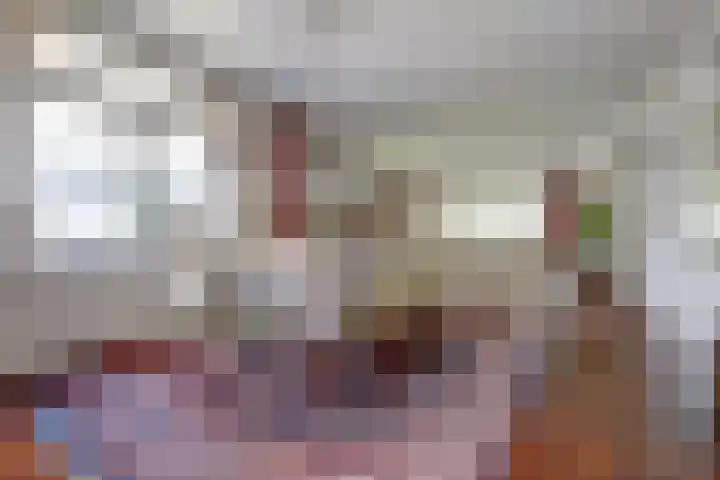 Nieuwe Mollenhutseweg 26 Nijmegen thumbnail 18