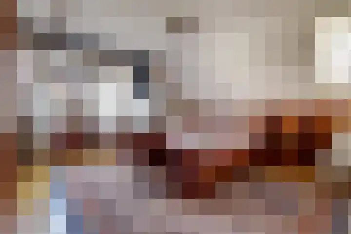 Nieuwe Mollenhutseweg 26 Nijmegen thumbnail 33