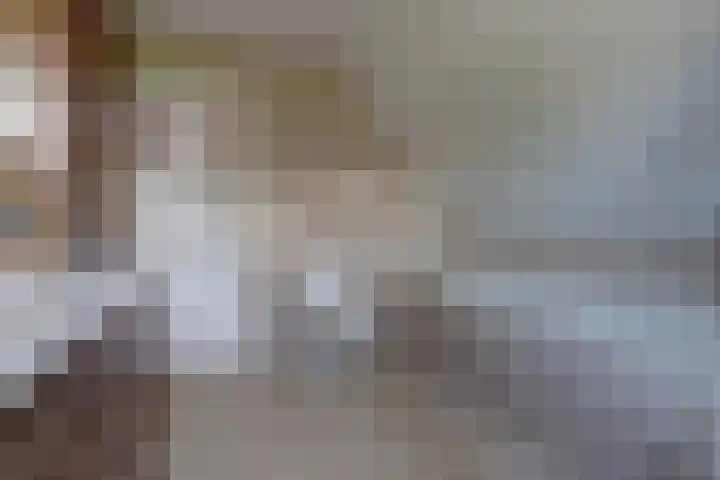 Nieuwe Mollenhutseweg 26 Nijmegen thumbnail 39