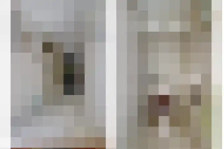Nieuwe Mollenhutseweg 26 Nijmegen thumbnail 55