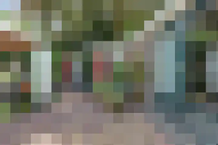 Nieuwe Mollenhutseweg 26 Nijmegen thumbnail 59