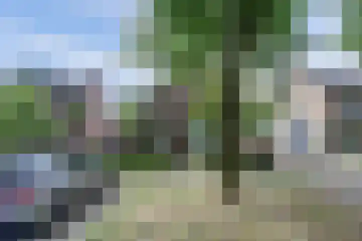 Nieuwe Mollenhutseweg 26 Nijmegen thumbnail 6