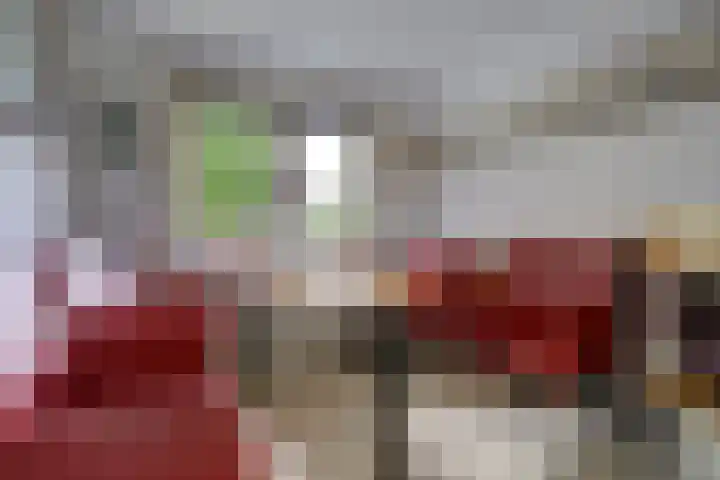 Nieuwe Mollenhutseweg 26 Nijmegen thumbnail 66