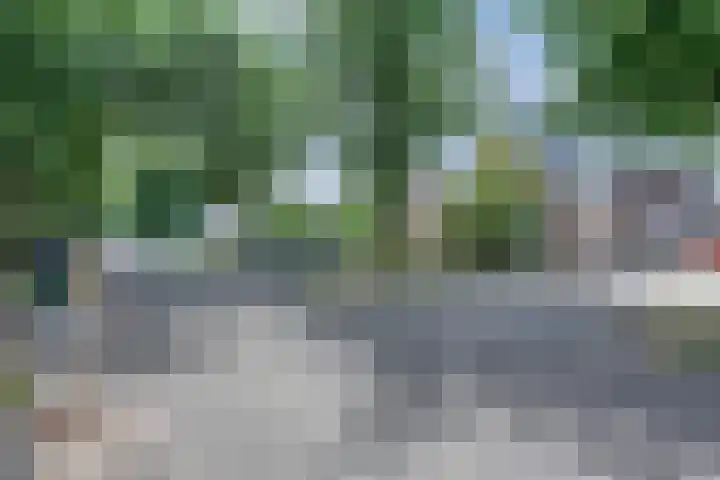 Nieuwe Mollenhutseweg 26 Nijmegen thumbnail 7