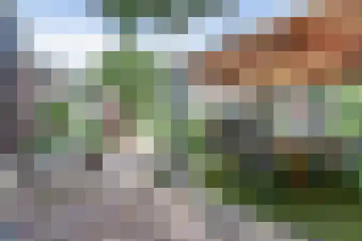 Nieuwe Mollenhutseweg 26 Nijmegen thumbnail 72