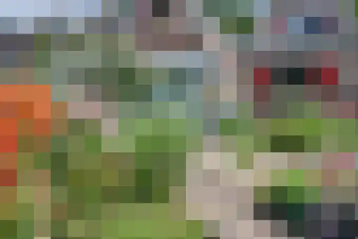 Nieuwe Mollenhutseweg 26 Nijmegen thumbnail 73