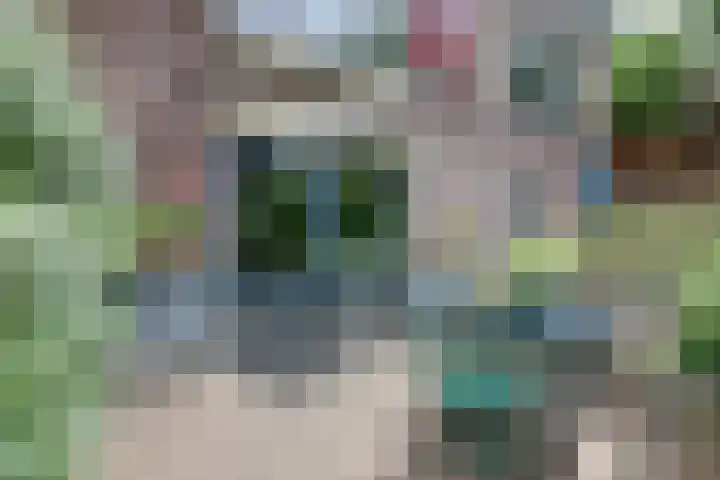Nieuwe Mollenhutseweg 26 Nijmegen thumbnail 75