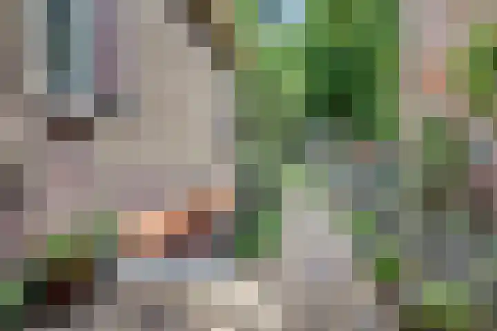 Nieuwe Mollenhutseweg 26 Nijmegen thumbnail 77