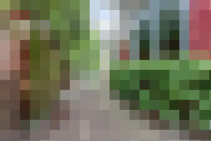 Nieuwe Mollenhutseweg 26 Nijmegen thumbnail 78