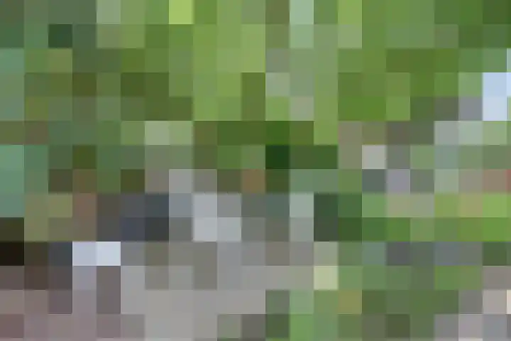Nieuwe Mollenhutseweg 26 Nijmegen thumbnail 79