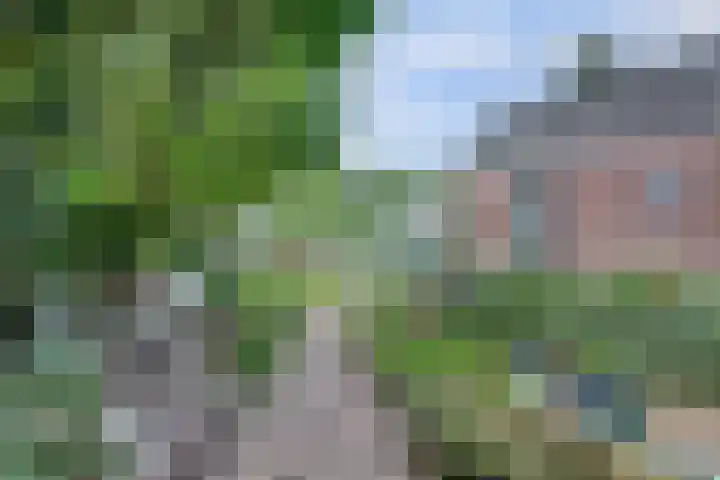 Nieuwe Mollenhutseweg 26 Nijmegen thumbnail 80