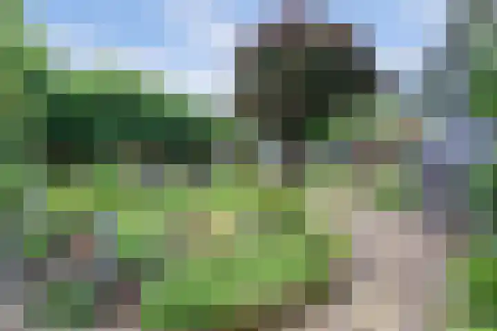 Nieuwe Mollenhutseweg 26 Nijmegen thumbnail 81