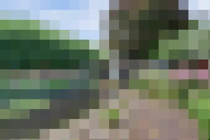 Nieuwe Mollenhutseweg 26 Nijmegen thumbnail 82