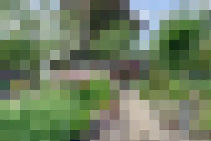 Nieuwe Mollenhutseweg 26 Nijmegen thumbnail 84