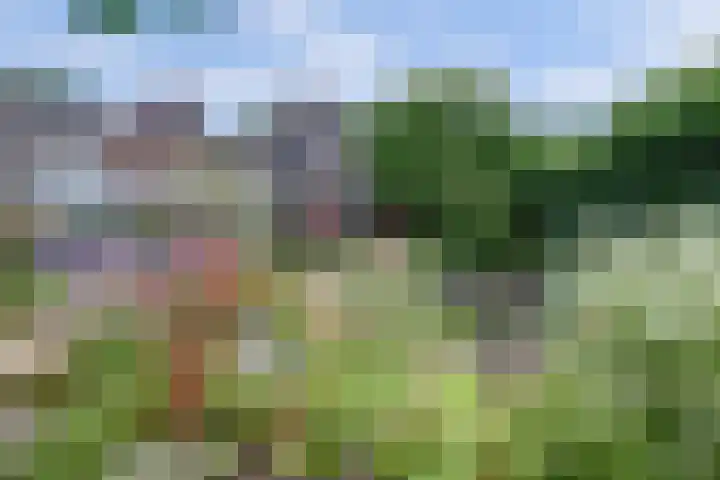 Nieuwe Mollenhutseweg 26 Nijmegen thumbnail 86