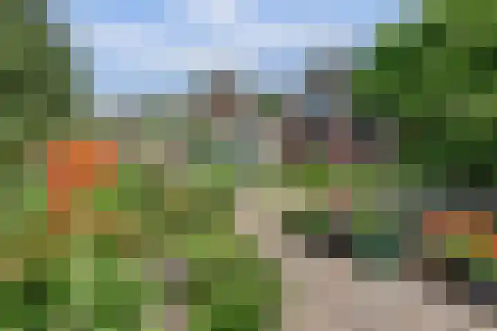 Nieuwe Mollenhutseweg 26 Nijmegen thumbnail 87