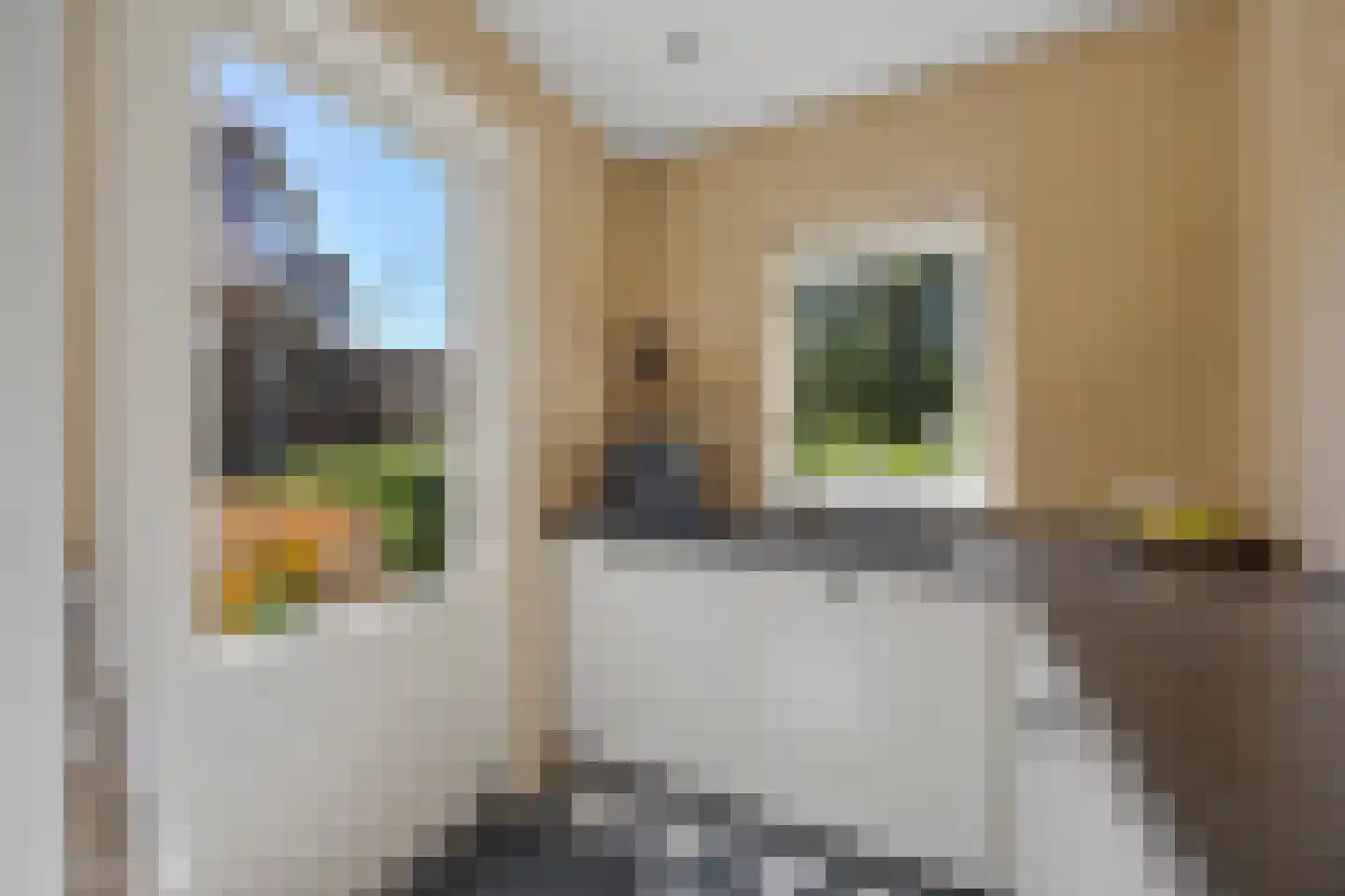 Nieuwe Mollenhutseweg 4 Nijmegen thumbnail 11