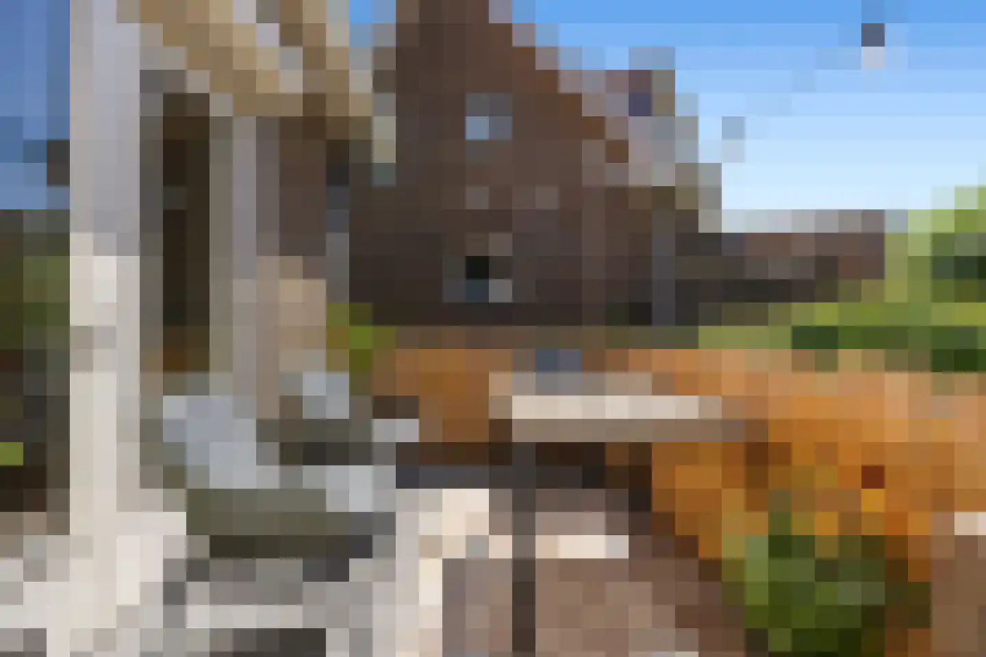 Nieuwe Mollenhutseweg 4 Nijmegen thumbnail 12