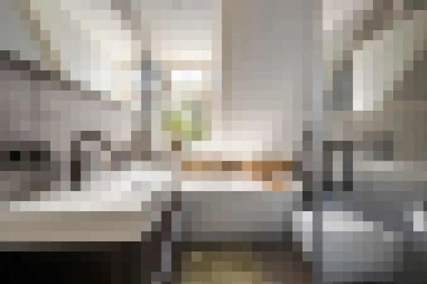 Nieuwe Mollenhutseweg 4 Nijmegen thumbnail 18
