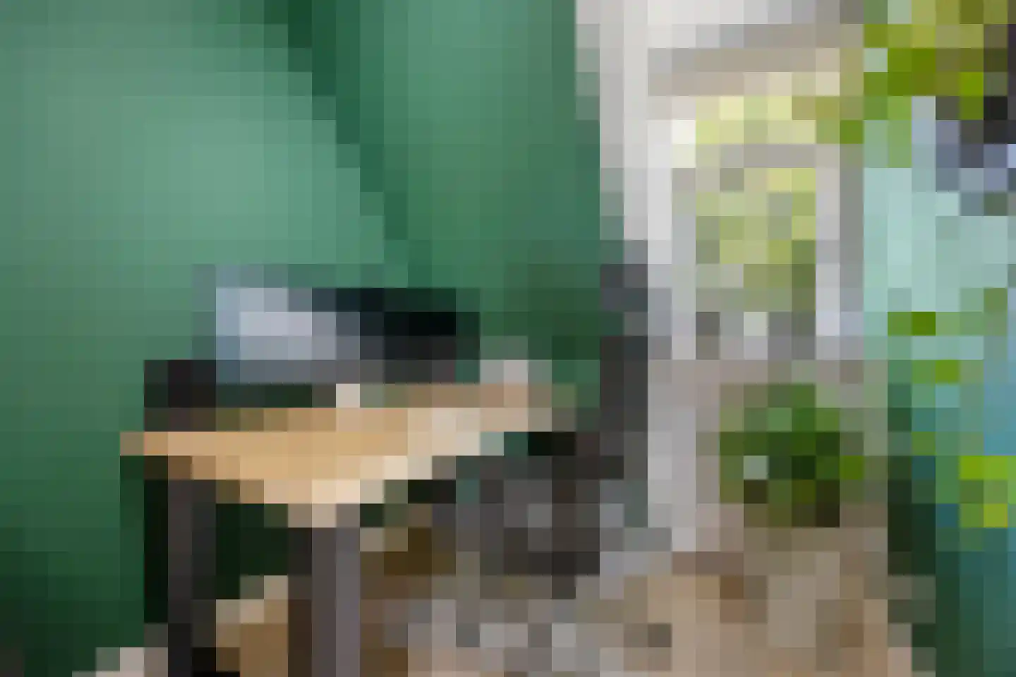 Nieuwe Mollenhutseweg 4 Nijmegen thumbnail 23