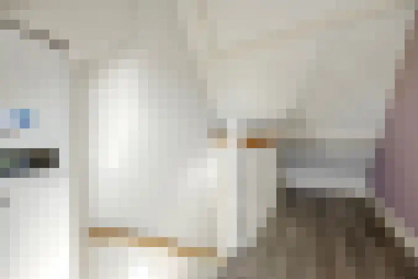 Nieuwe Mollenhutseweg 4 Nijmegen thumbnail 25