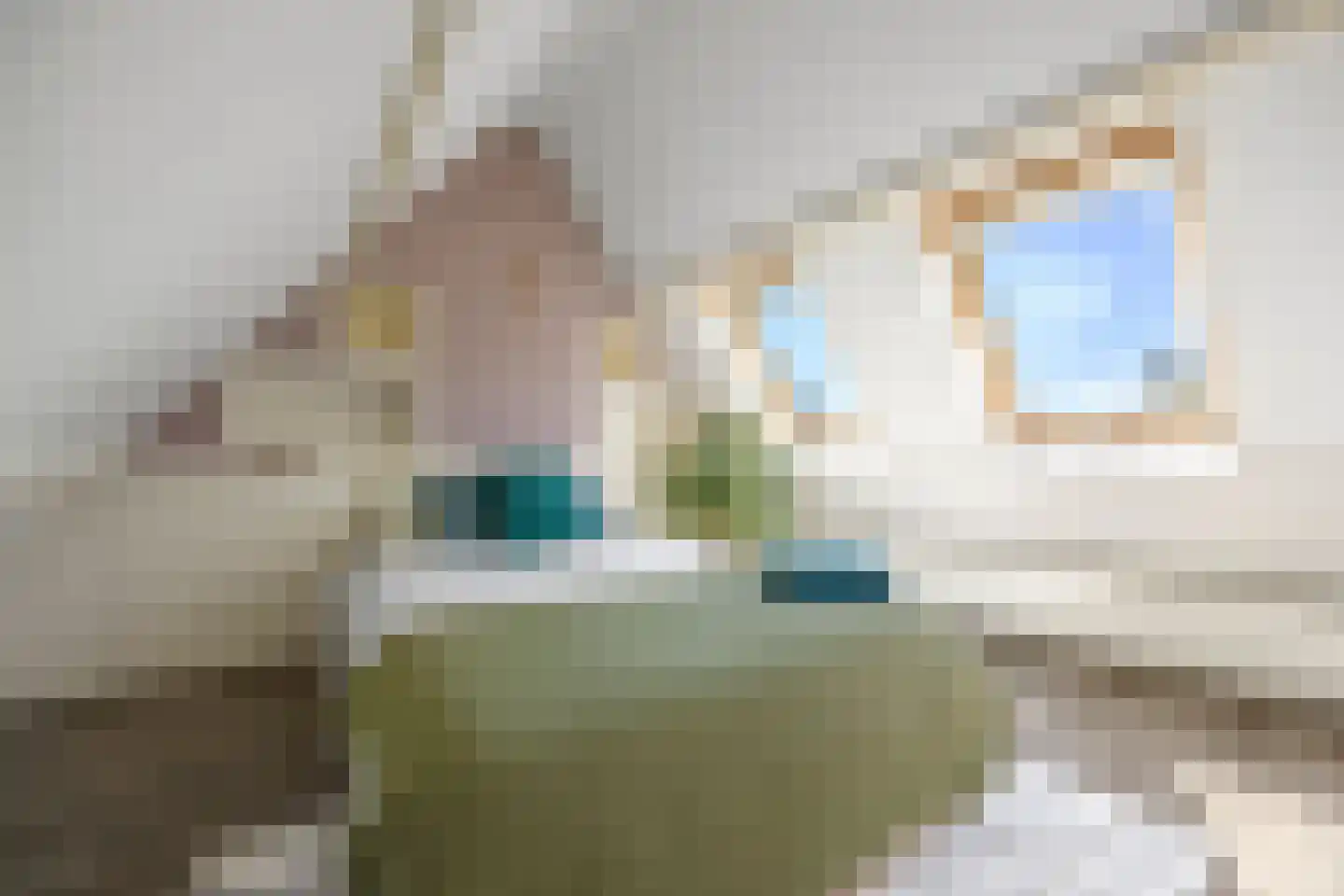 Nieuwe Mollenhutseweg 4 Nijmegen thumbnail 27