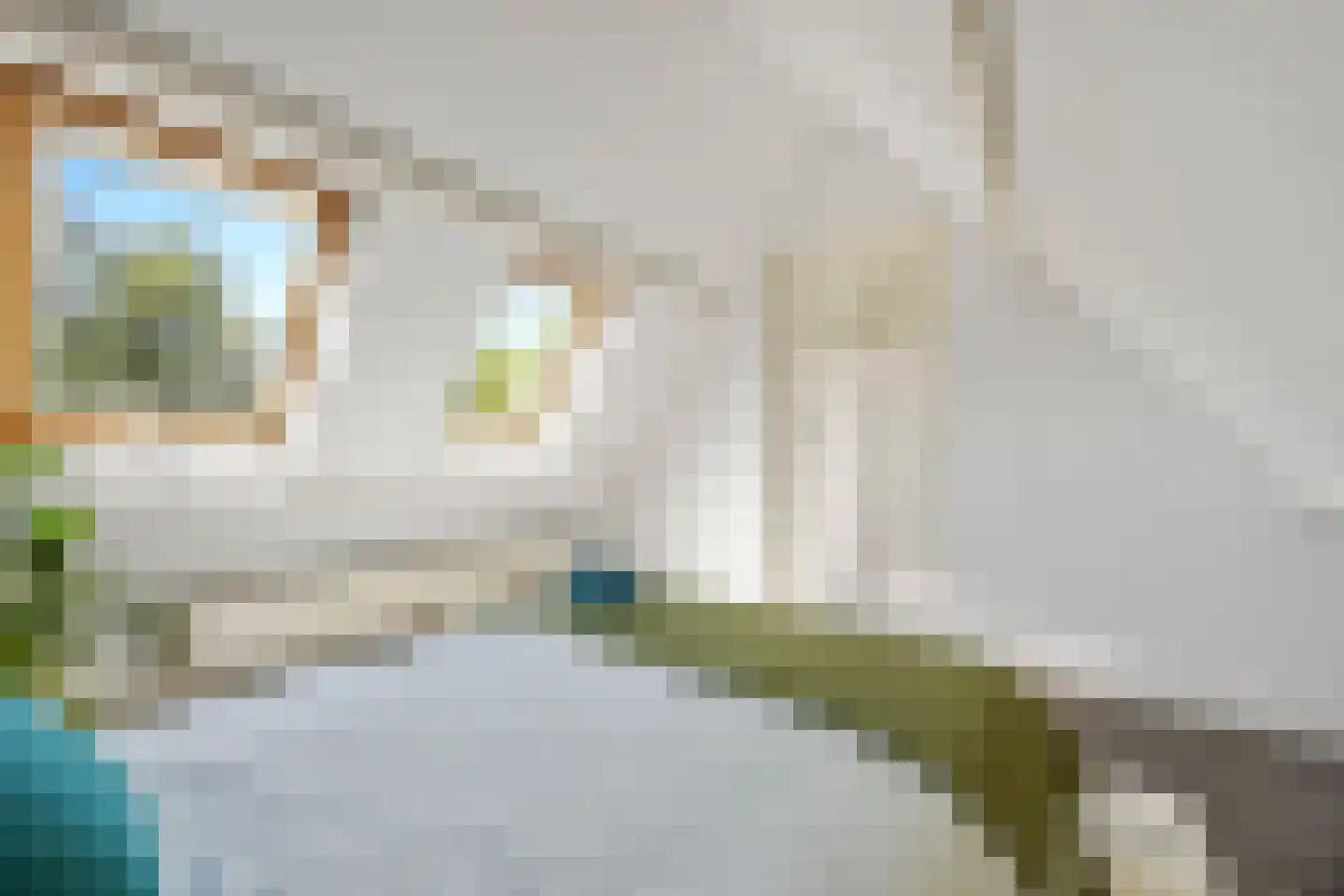 Nieuwe Mollenhutseweg 4 Nijmegen thumbnail 28