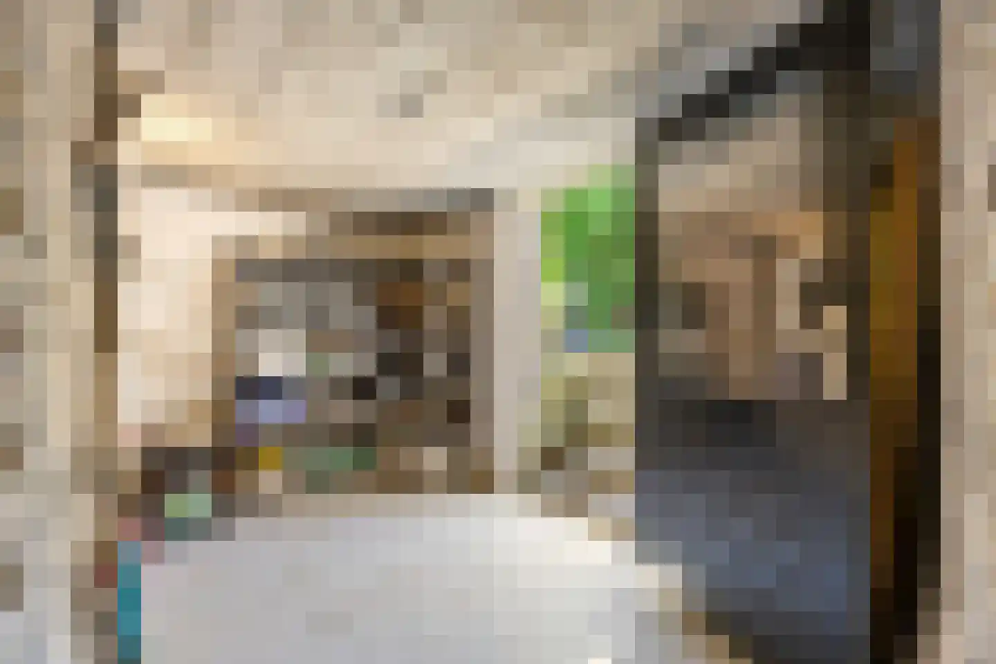 Nieuwe Mollenhutseweg 4 Nijmegen thumbnail 30