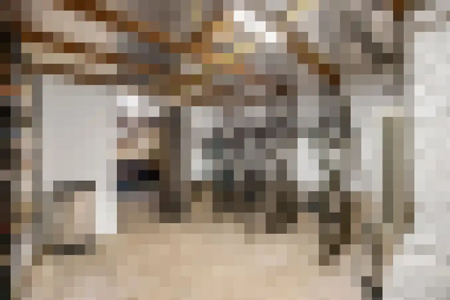 Nieuwe Mollenhutseweg 4 Nijmegen thumbnail 34