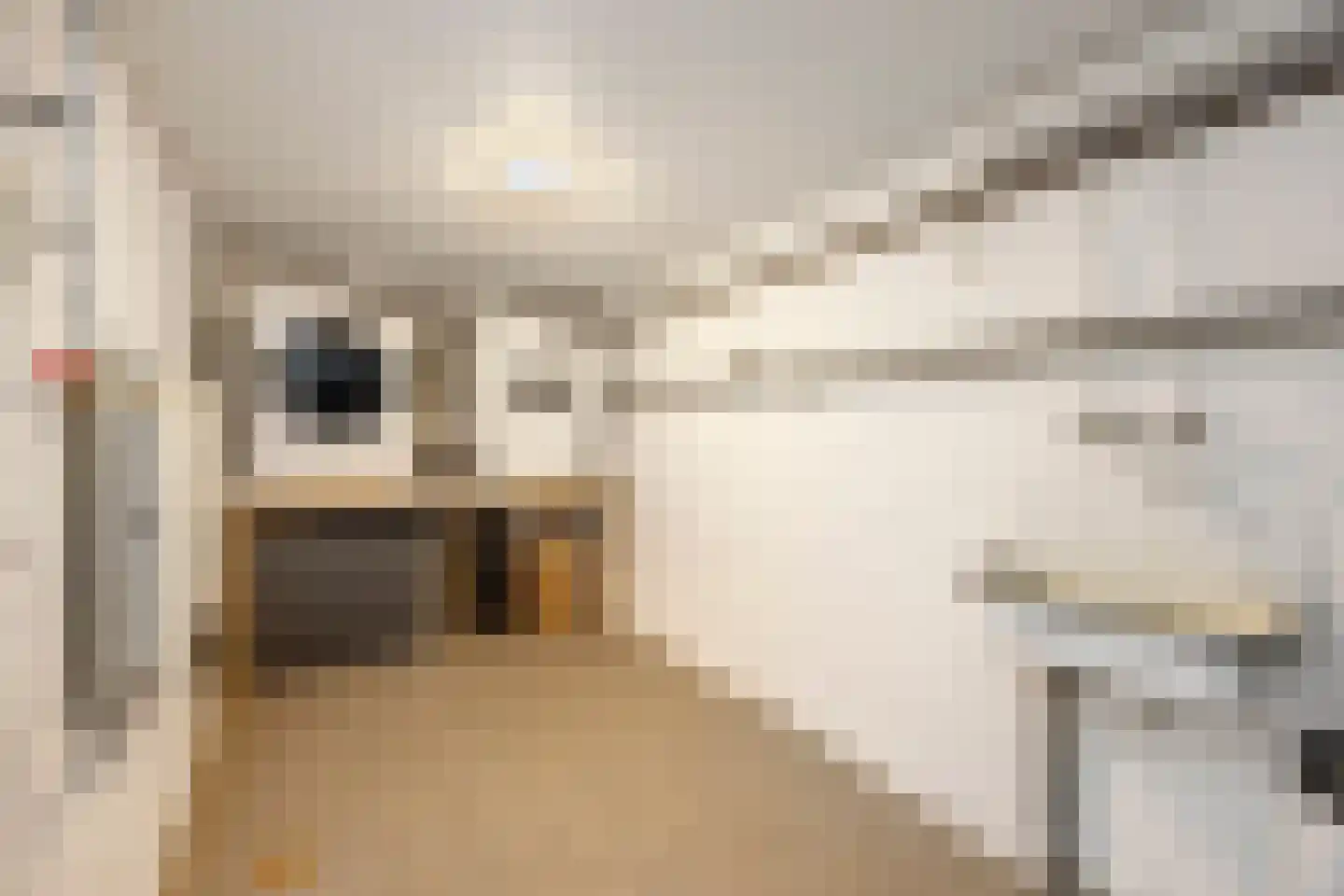 Nieuwe Mollenhutseweg 4 Nijmegen thumbnail 35