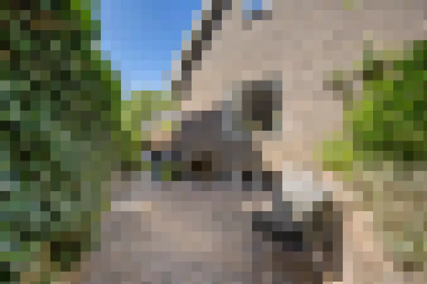 Nieuwe Mollenhutseweg 4 Nijmegen thumbnail 36