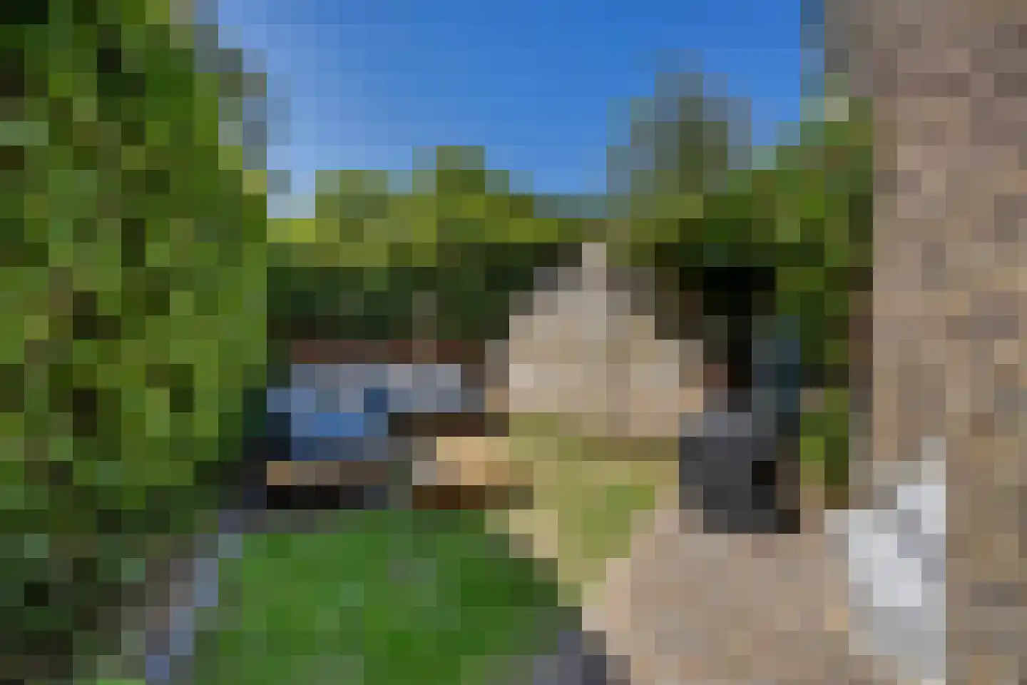 Nieuwe Mollenhutseweg 4 Nijmegen thumbnail 39