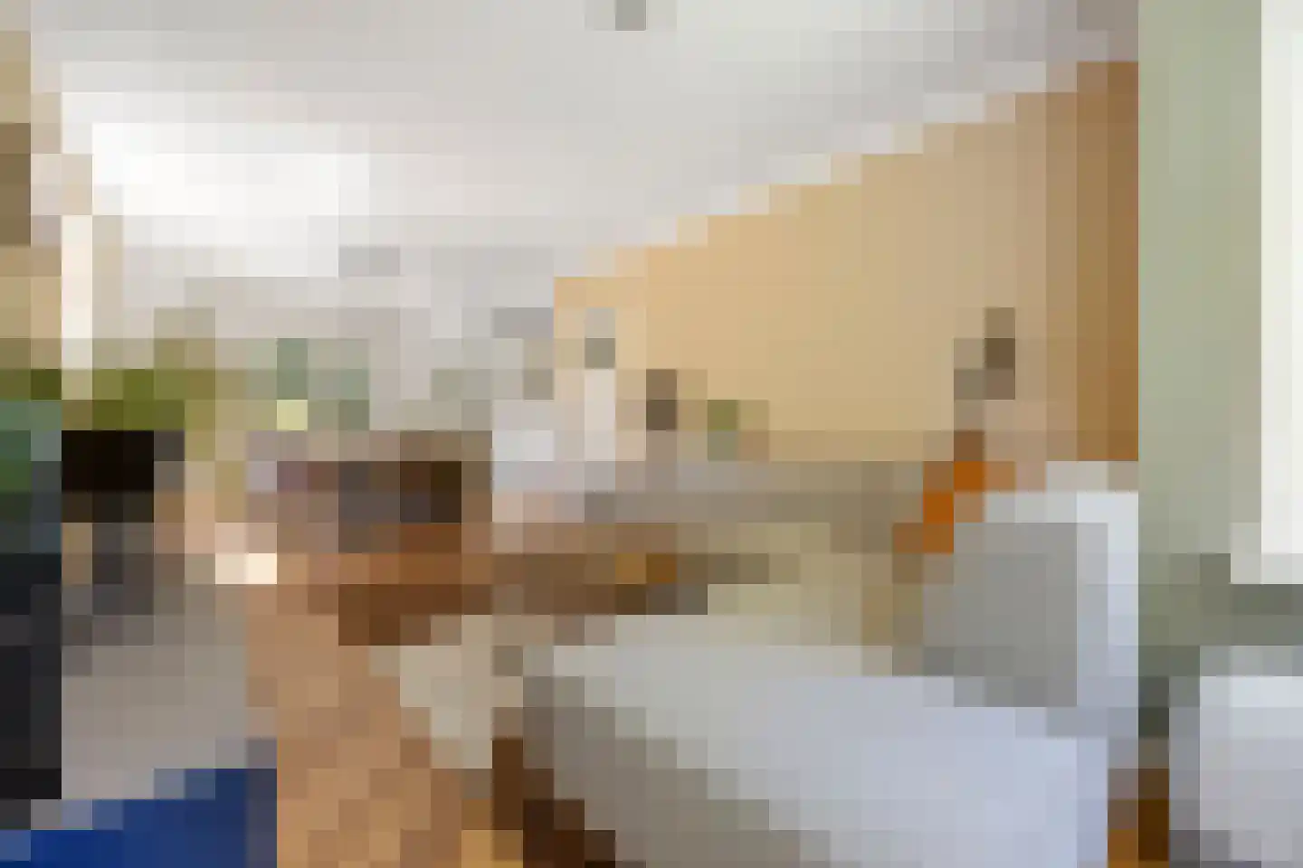 Nieuwe Mollenhutseweg 4 Nijmegen thumbnail 4