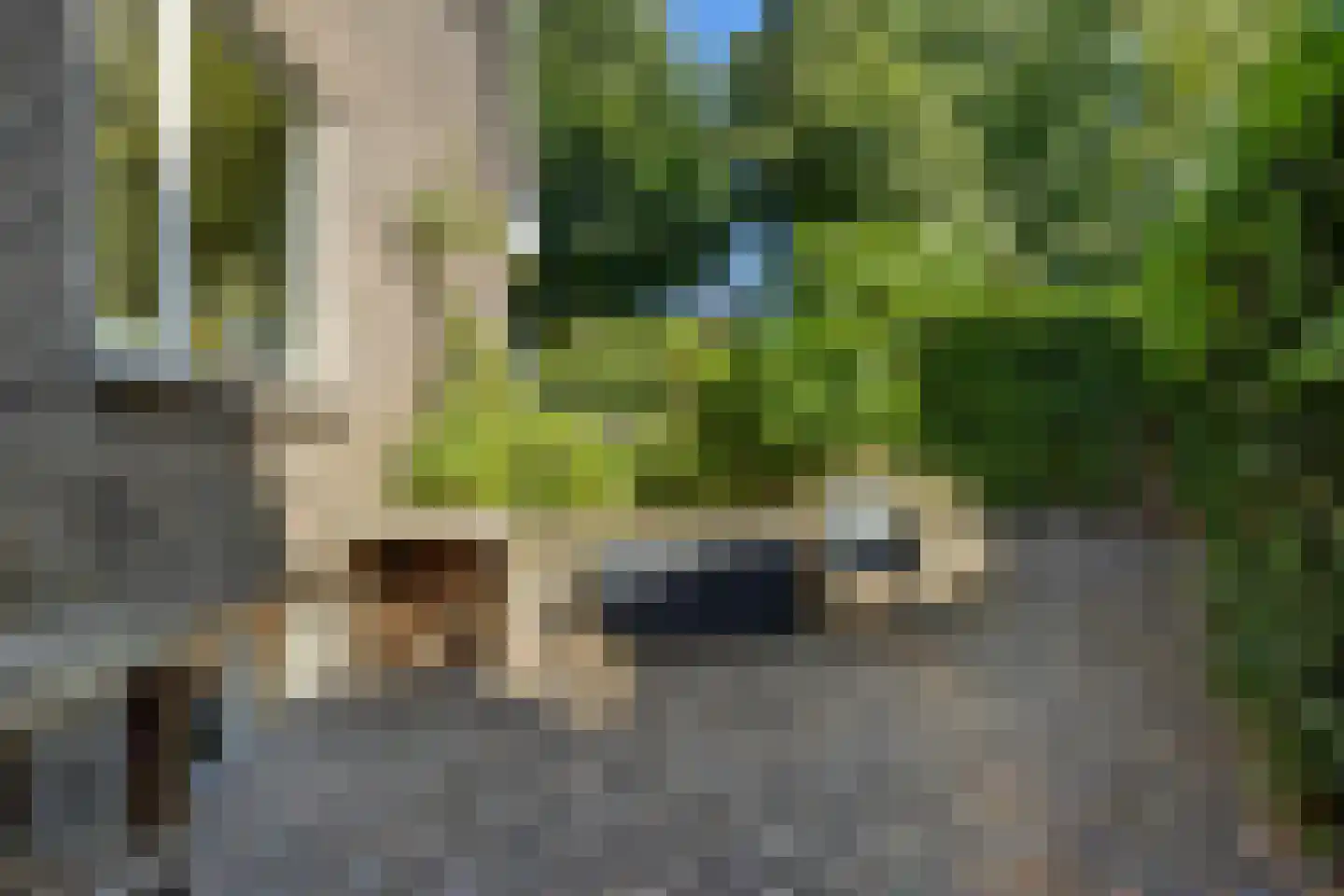 Nieuwe Mollenhutseweg 4 Nijmegen thumbnail 40