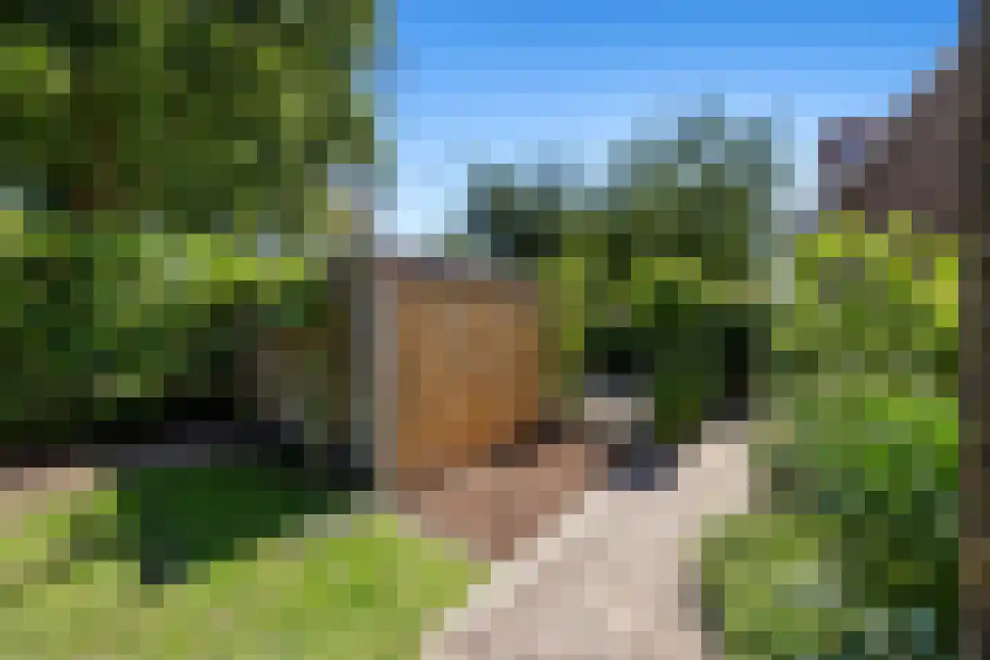 Nieuwe Mollenhutseweg 4 Nijmegen thumbnail 42