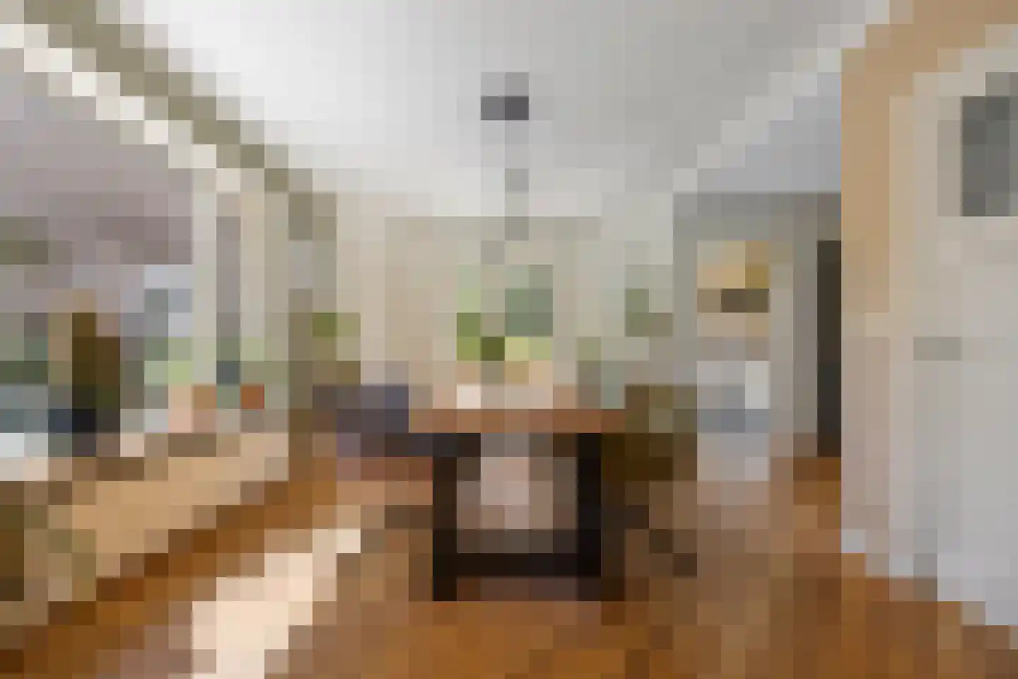 Nieuwe Mollenhutseweg 4 Nijmegen thumbnail 5