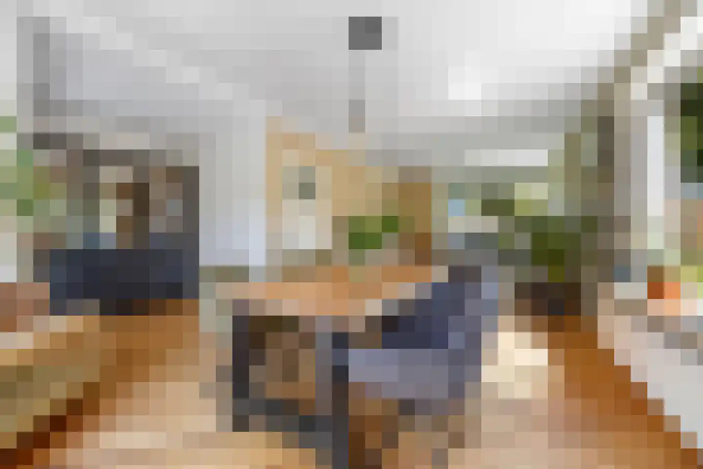 Nieuwe Mollenhutseweg 4 Nijmegen thumbnail 7